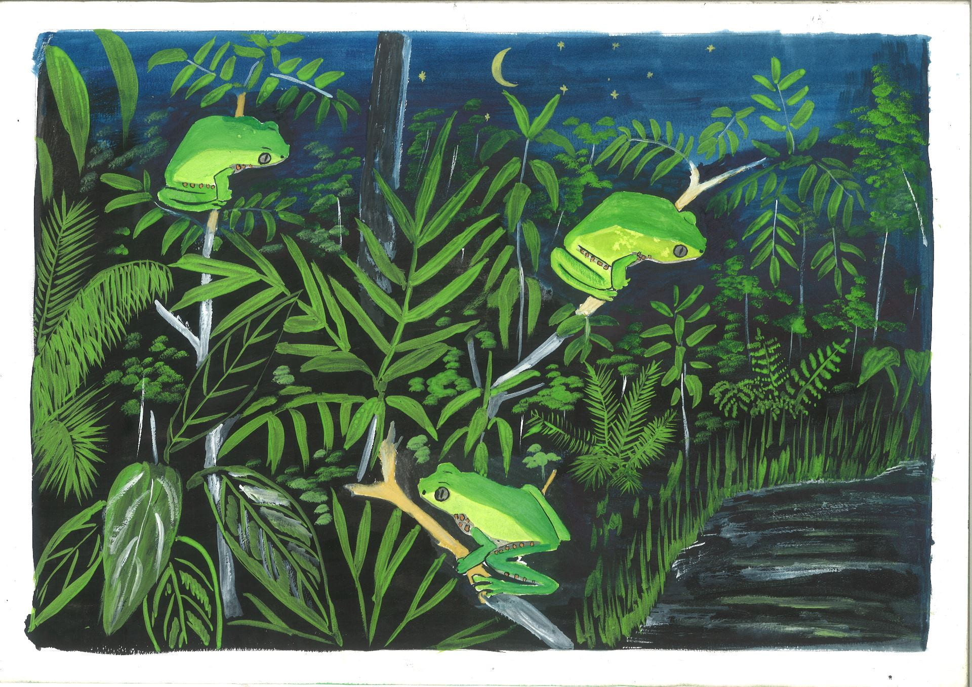 An illustration of three frogs clinging onto branches in the rainforest at night